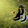 PT_Aware_Vol_11_-Vignesh_Thangaraj_48-1024x768