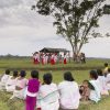 bihu-169920_960_720