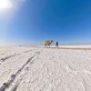 desert-6591223_960_720