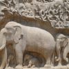 elephant-1853890_960_720
