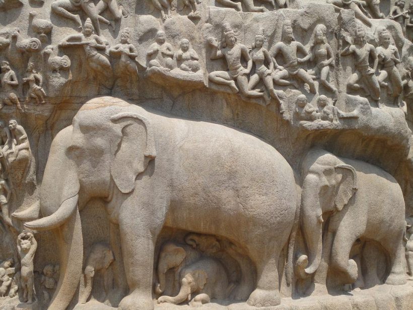 elephant-1853890_960_720