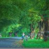 india-6257306_960_720