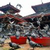 kathmandu-96564_960_720