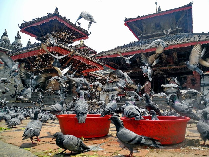 kathmandu-96564_960_720