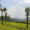 landscape-3080146_960_720