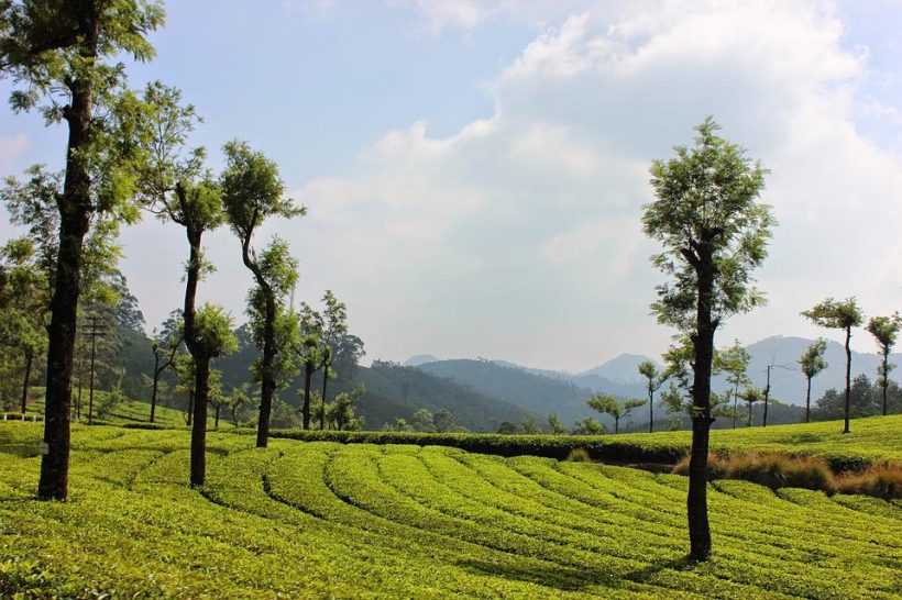 landscape-3080146_960_720