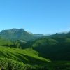 munnar-1639120_960_720