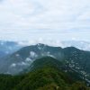 nature-4403568_960_720