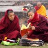 tibetan-5943352_960_720