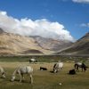 himachal-3647248_960_720