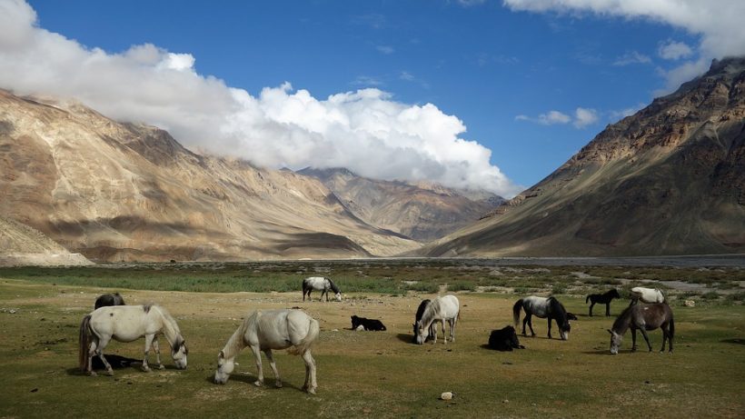 himachal-3647248_960_720