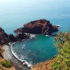 nature-4780643_960_720