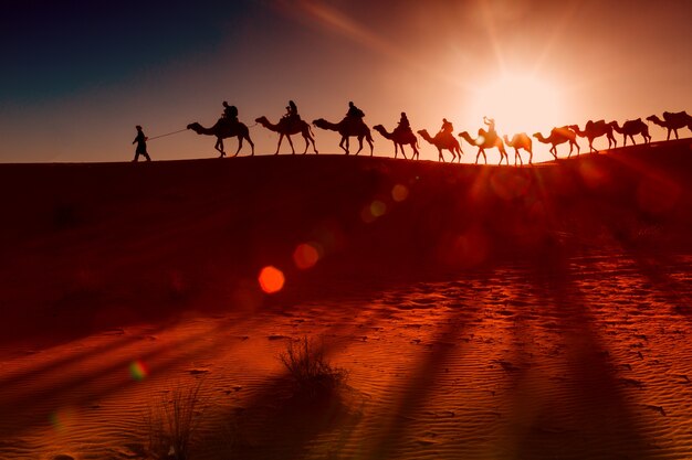 Rajasthan, the Land of Kings, is synonymous with vast deserts, majestic palaces, and a rich cultural heritage. Crown India Tours invites you to embark on an enchanting journey